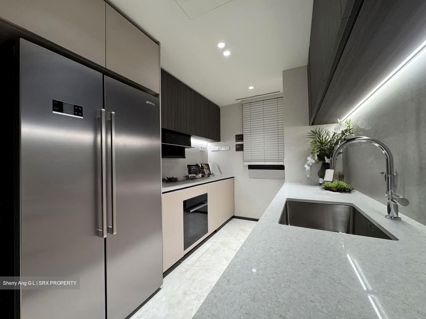 Hudson Place Residences (U/C) (D5), Apartment #603089291